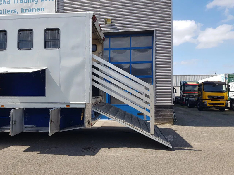 DAF 95.350 Paardenwagen met zitverblijf 7 paarden 7 horses - Zirgu kravas automašīna: foto 5 DAF 95.350 Paardenwagen met zitverblijf 7 paarden 7 horses - Zirgu kravas automašīna: foto 5