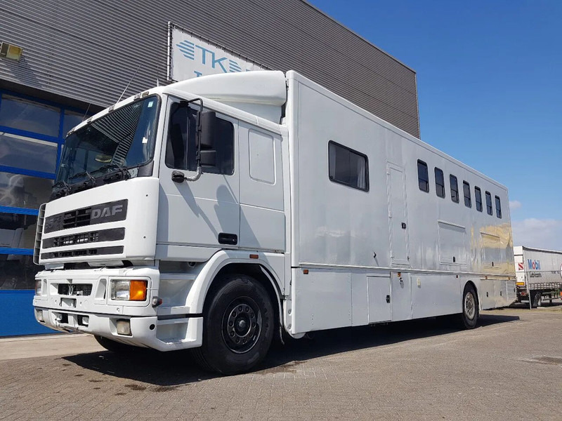 DAF 95.350 Paardenwagen met zitverblijf 7 paarden 7 horses - Zirgu kravas automašīna: foto 1 DAF 95.350 Paardenwagen met zitverblijf 7 paarden 7 horses - Zirgu kravas automašīna: foto 1