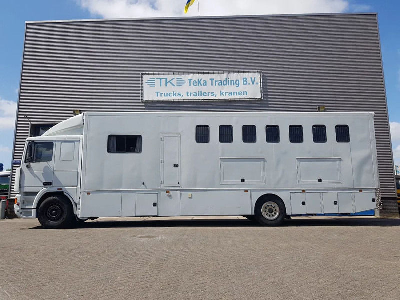 DAF 95.350 Paardenwagen met zitverblijf 7 paarden 7 horses - Zirgu kravas automašīna: foto 3 DAF 95.350 Paardenwagen met zitverblijf 7 paarden 7 horses - Zirgu kravas automašīna: foto 3
