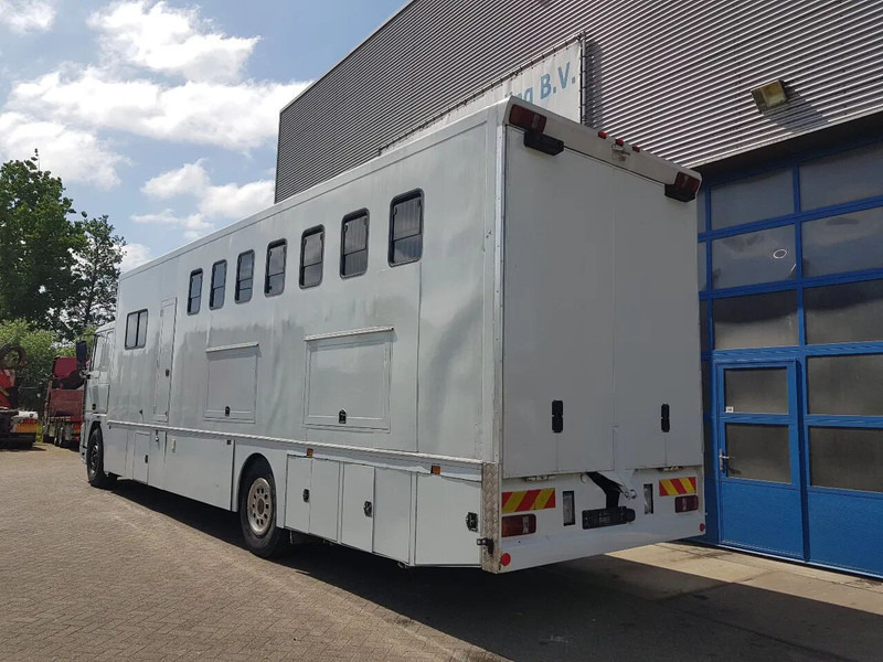 DAF 95.350 Paardenwagen met zitverblijf 7 paarden 7 horses - Zirgu kravas automašīna: foto 4 DAF 95.350 Paardenwagen met zitverblijf 7 paarden 7 horses - Zirgu kravas automašīna: foto 4
