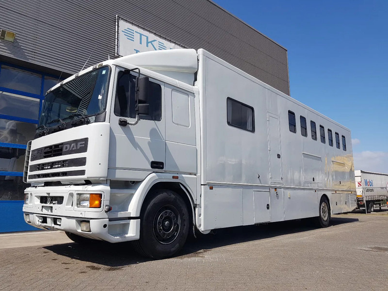 DAF 95.350 Paardenwagen met zitverblijf 7 paarden 7 horses - Zirgu kravas automašīna: foto 1 DAF 95.350 Paardenwagen met zitverblijf 7 paarden 7 horses - Zirgu kravas automašīna: foto 1