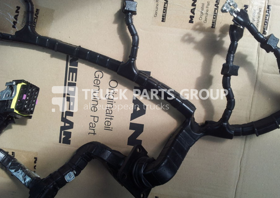 MAN TGA, TGX, TGS, TGM, TGL, EURO3, EURO4, EURO5, EURO6 cable harnes wiring - Kabeļis/ Vadis - Kravas automašīna: foto 1 MAN TGA, TGX, TGS, TGM, TGL, EURO3, EURO4, EURO5, EURO6 cable harnes wiring - Kabeļis/ Vadis - Kravas automašīna: foto 1