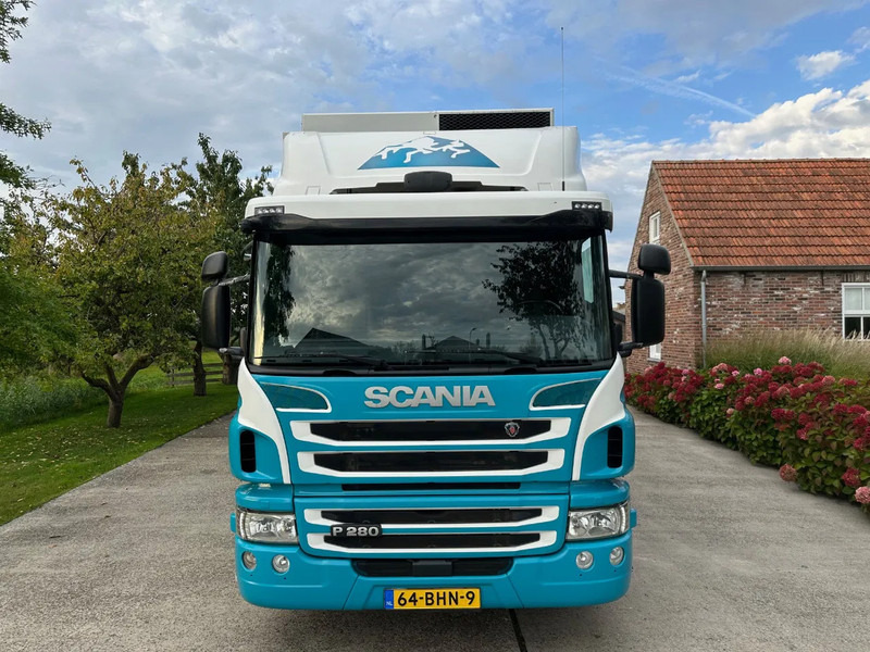 Scania P280 / NL TRUCK / FRIGOBLOCK FK 13(2019) / 2000kg LIFT / TOPCONDITION!! - Kravas automašīna refrižerators: foto 3 Scania P280 / NL TRUCK / FRIGOBLOCK FK 13(2019) / 2000kg LIFT / TOPCONDITION!! - Kravas automašīna refrižerators: foto 3