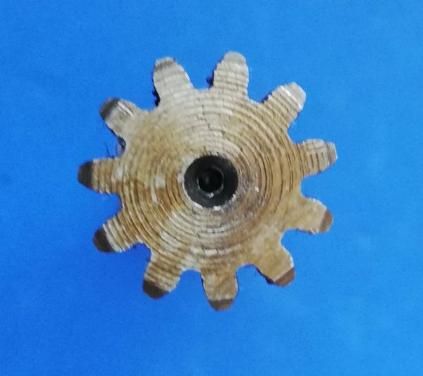 020390A Wałek silnika jazdy Takeuchi TB016, Kubota KX41-3V - Hidrauliskais motors - Celtniecības tehnika: foto 5 020390A Wałek silnika jazdy Takeuchi TB016, Kubota KX41-3V - Hidrauliskais motors - Celtniecības tehnika: foto 5