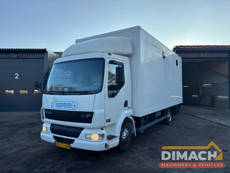 DAF FA LF45.150 4 paards, laadlift. Horsetruck NL truck - Zirgu kravas automašīna: foto 1 DAF FA LF45.150 4 paards, laadlift. Horsetruck NL truck - Zirgu kravas automašīna: foto 1