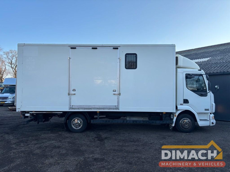 DAF FA LF45.150 4 paards, laadlift. Horsetruck NL truck - Zirgu kravas automašīna: foto 4 DAF FA LF45.150 4 paards, laadlift. Horsetruck NL truck - Zirgu kravas automašīna: foto 4