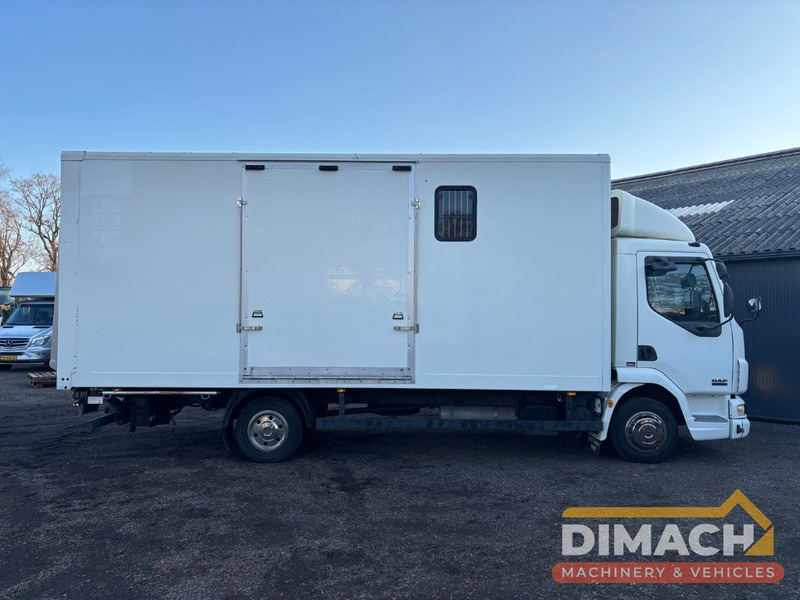 DAF FA LF45.150 4 paards, laadlift. Horsetruck NL truck - Zirgu kravas automašīna: foto 4 DAF FA LF45.150 4 paards, laadlift. Horsetruck NL truck - Zirgu kravas automašīna: foto 4