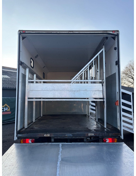 Kravas automašīna dzīvnieku pārvadāšanai DAF LF 45.150 4 paards, laadlift. Horsetruck NL truck: foto 15
