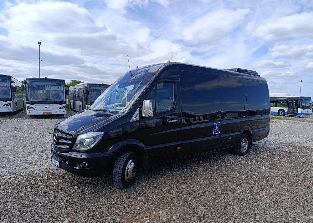 Mikroautobuss, Pasažieru furgons Mercedes-Benz Sprinter 519: foto 11