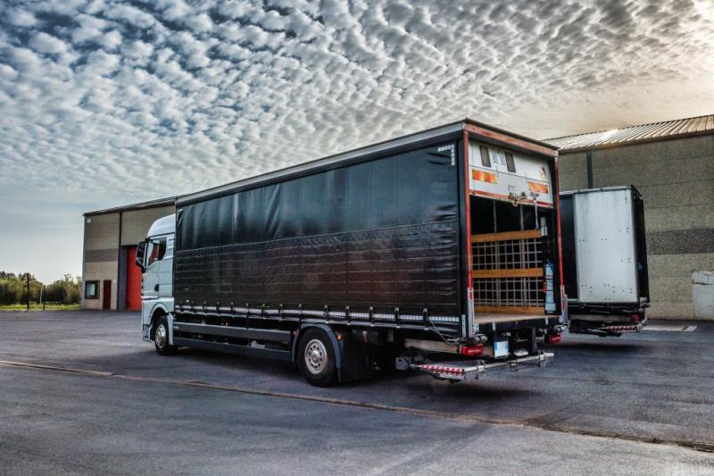 MAN TGX 18.400 XLX+HAYON - Kravas automašīna ar tentu: foto 4 MAN TGX 18.400 XLX+HAYON - Kravas automašīna ar tentu: foto 4