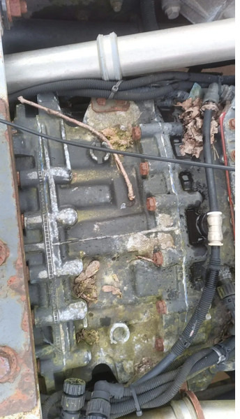 Renault Premium 420 Dci Engine + Automatic Gearbox - Dzinējs - Kravas automašīna: foto 5 Renault Premium 420 Dci Engine + Automatic Gearbox - Dzinējs - Kravas automašīna: foto 5