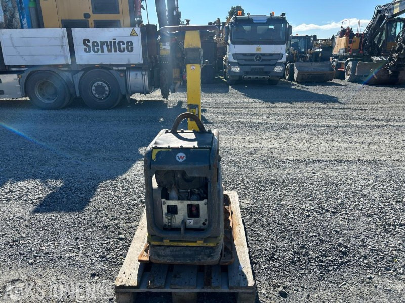 2020 Wacker Neuson Dpu 5545 - Veltnis: foto 2 2020 Wacker Neuson Dpu 5545 - Veltnis: foto 2