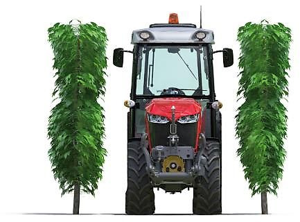 Massey Ferguson MF 3VI105 Efficient - Traktors: foto 1 Massey Ferguson MF 3VI105 Efficient - Traktors: foto 1