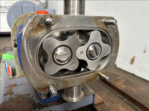 Alfa Laval SX2-013H Lobe pump - Pārtikas iekārta: foto 5 Alfa Laval SX2-013H Lobe pump - Pārtikas iekārta: foto 5