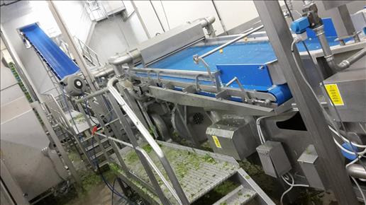 Pārtikas iekārta FTNON Washing and drying line: foto 9