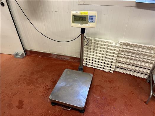 Precia Access Mini400 Platform scale - Pārtikas iekārta: foto 1 Precia Access Mini400 Platform scale - Pārtikas iekārta: foto 1