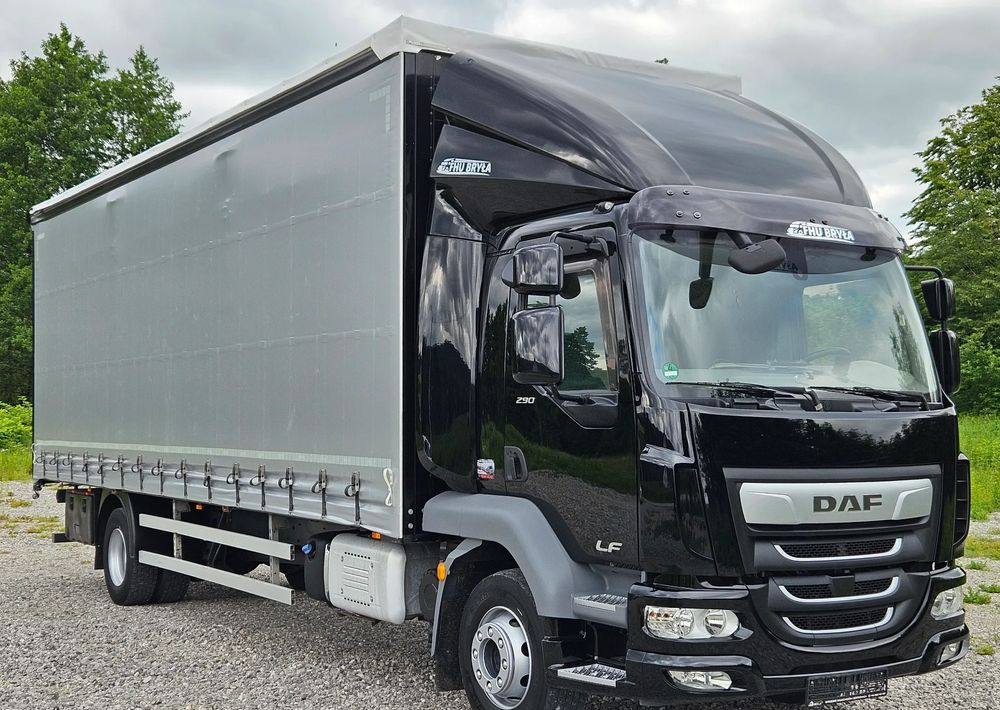 DAF LF 290/WINDA/16TON DMC/FIRANKA/AUTOMAT/16TON DMC/JEDEN WŁAŚCICIE/EURO 6/2019/SPROWADZONY/20PALET/NISKI PRZEBIEG/DUŻA ŁADOWNOŚĆ/JAK NOWY - Kravas automašīna ar tentu: foto 2 DAF LF 290/WINDA/16TON DMC/FIRANKA/AUTOMAT/16TON DMC/JEDEN WŁAŚCICIE/EURO 6/2019/SPROWADZONY/20PALET/NISKI PRZEBIEG/DUŻA ŁADOWNOŚĆ/JAK NOWY - Kravas automašīna ar tentu: foto 2