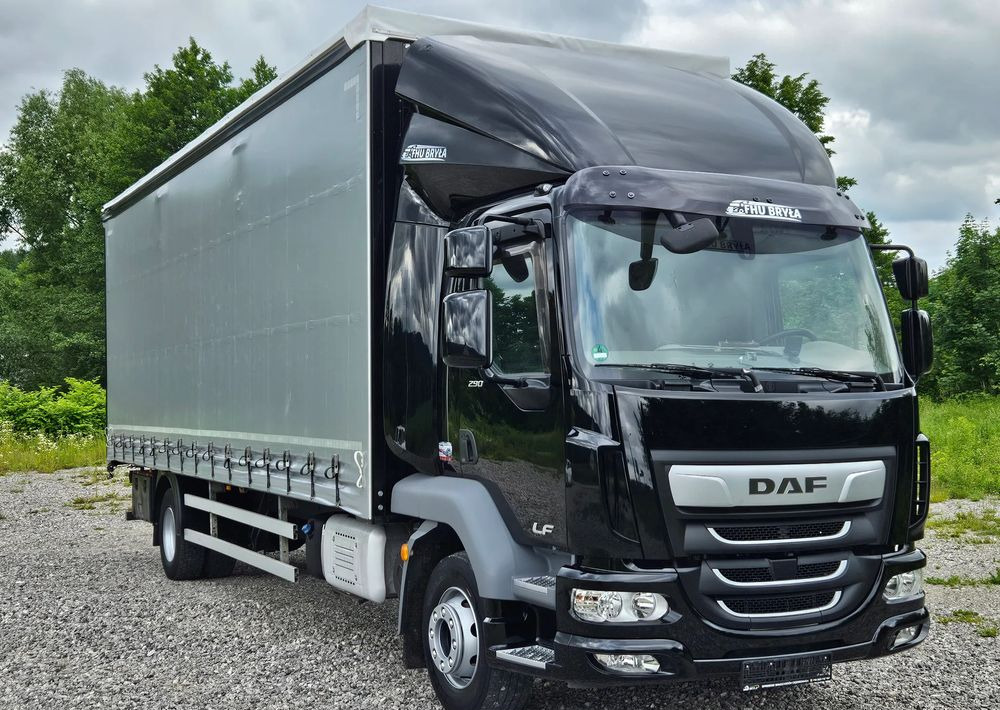DAF LF 290 / WINDA / 16TON DMC / FIRANKA / AUTOMAT / JEDEN WŁAŚCICIE / EURO 6 / 2019 / SPROWADZONY / 20PALET / NISKI PRZEBIEG / DUŻA ŁADOWNOŚĆ / JAK NOWY - Kravas automašīna ar tentu: foto 3 DAF LF 290 / WINDA / 16TON DMC / FIRANKA / AUTOMAT / JEDEN WŁAŚCICIE / EURO 6 / 2019 / SPROWADZONY / 20PALET / NISKI PRZEBIEG / DUŻA ŁADOWNOŚĆ / JAK NOWY - Kravas automašīna ar tentu: foto 3