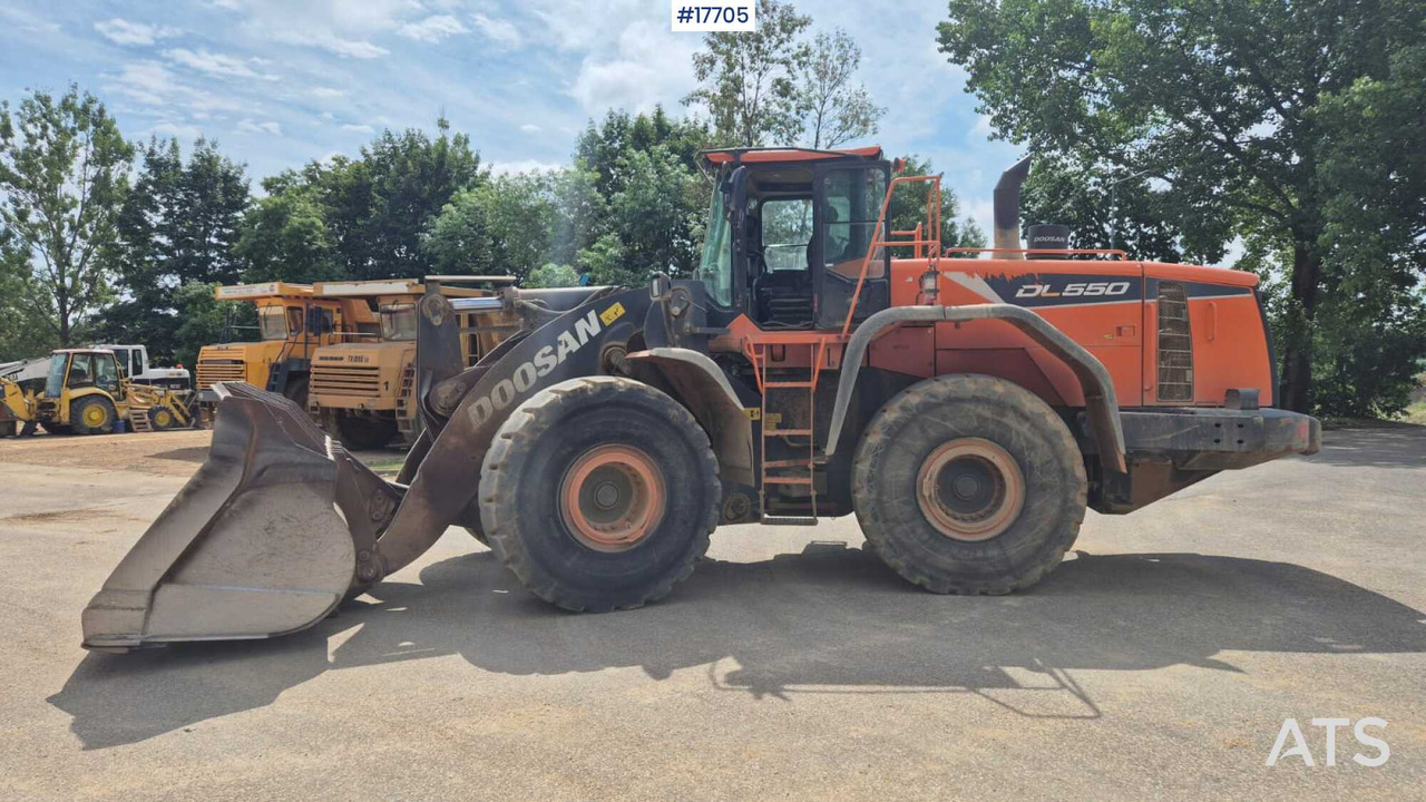 2019 Doosan DL550-5 - Riteņu iekrāvējs: foto 1 2019 Doosan DL550-5 - Riteņu iekrāvējs: foto 1