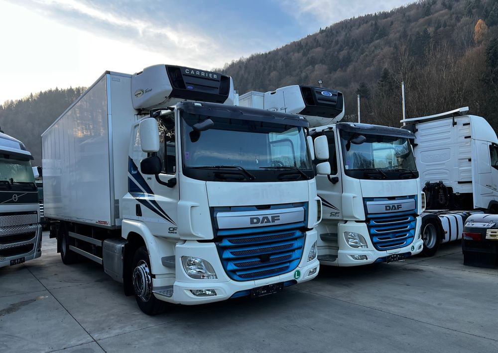 DAF CF370 // Chłodnia Carrier Supra 850 // Sypialka // 2017 Rok // ACC // - Kravas automašīna refrižerators: foto 3 DAF CF370 // Chłodnia Carrier Supra 850 // Sypialka // 2017 Rok // ACC // - Kravas automašīna refrižerators: foto 3