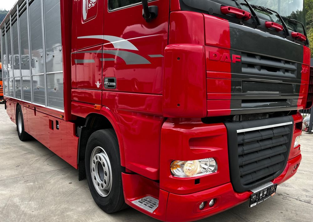 DAF XF 105.460 Euro 5 // Manual // Retarder // Do Żywca / Bydła / Zwierząt / - Kravas automašīna dzīvnieku pārvadāšanai: foto 3 DAF XF 105.460 Euro 5 // Manual // Retarder // Do Żywca / Bydła / Zwierząt / - Kravas automašīna dzīvnieku pārvadāšanai: foto 3