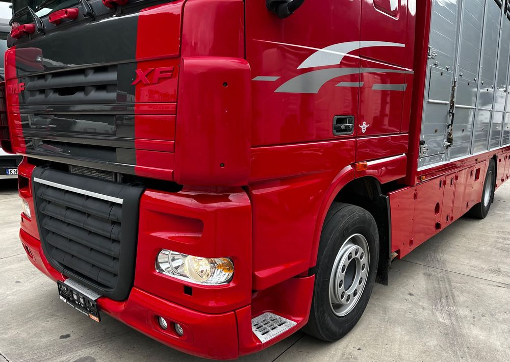 DAF XF 105.460 Euro 5 // Manual // Retarder // Do Żywca / Bydła / Zwierząt / - Kravas automašīna dzīvnieku pārvadāšanai: foto 4 DAF XF 105.460 Euro 5 // Manual // Retarder // Do Żywca / Bydła / Zwierząt / - Kravas automašīna dzīvnieku pārvadāšanai: foto 4