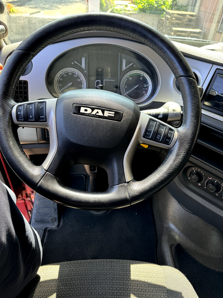 Vilcējs DAF XF 460: foto 6
