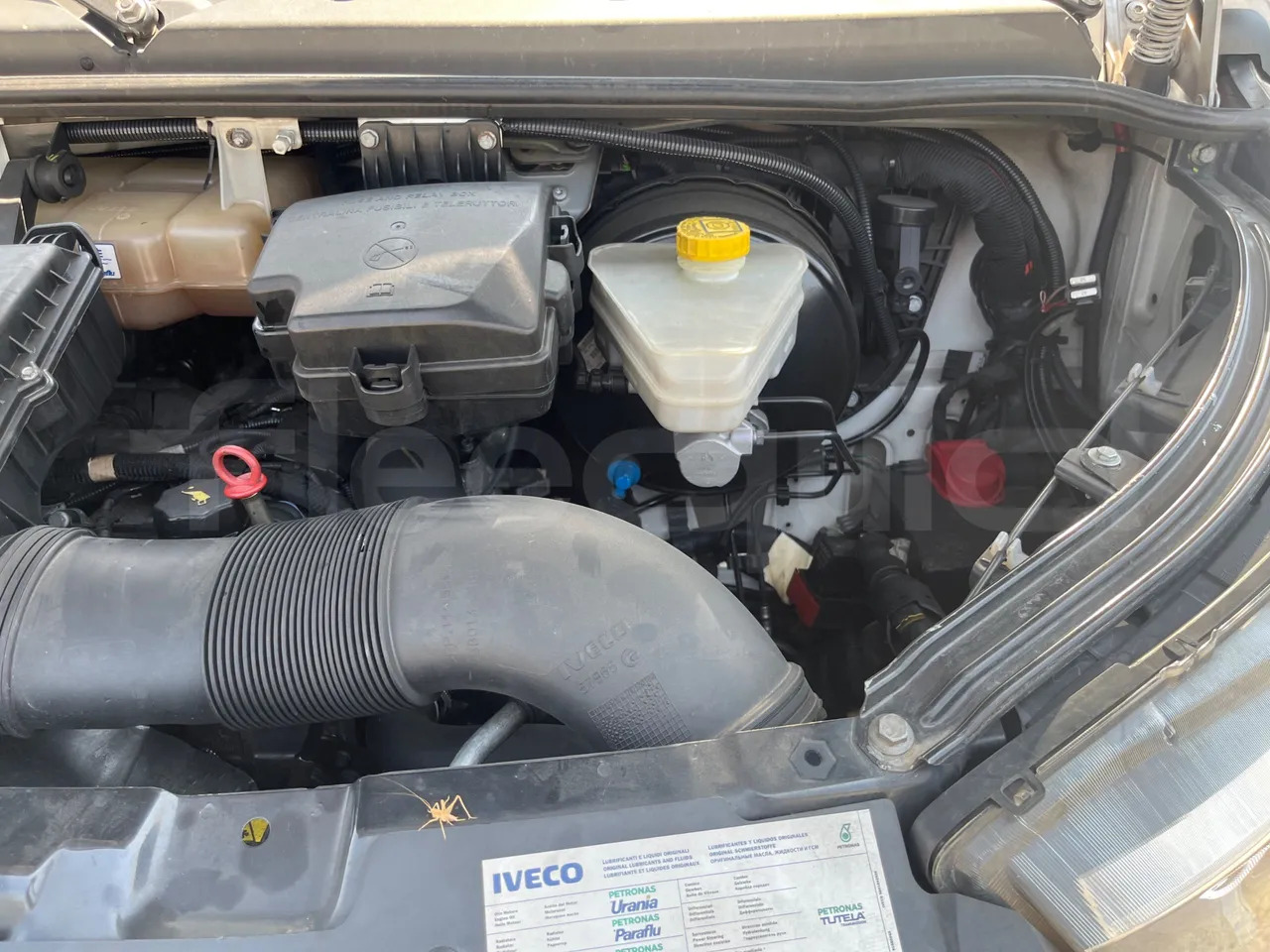 Mikroautobuss, Pasažieru furgons Iveco Daily: foto 15