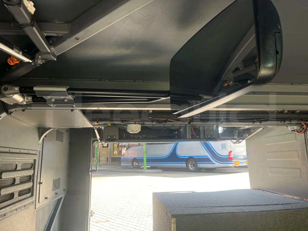 Starppilsētu autobuss Man Lion's Coach: foto 20