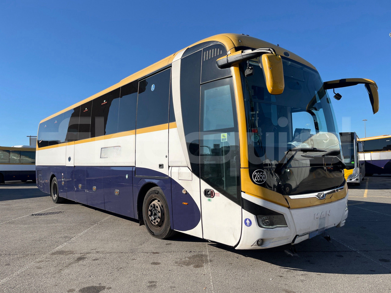 Man Lion's Coach - Starppilsētu autobuss: foto 1 Man Lion's Coach - Starppilsētu autobuss: foto 1
