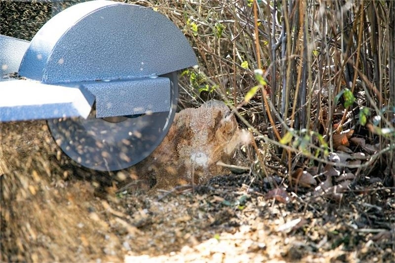 Dk-Tec - Malkas skaldītājs: foto 5 Dk-Tec - Malkas skaldītājs: foto 5