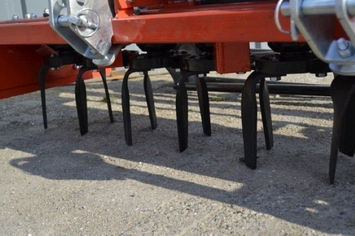 - - - boxer  - Ecēša: foto 4 - - - boxer  - Ecēša: foto 4