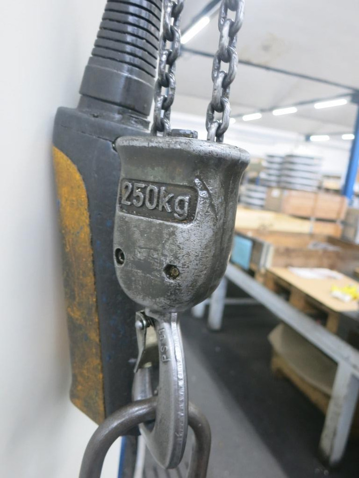 Demag 250 kg - Celtnis: foto 3 Demag 250 kg - Celtnis: foto 3
