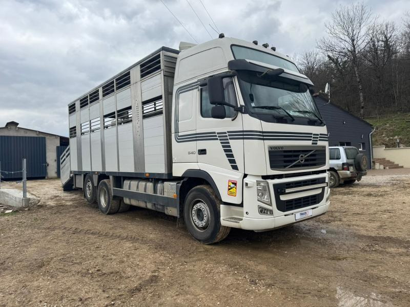 Volvo FH 540 - Kravas automašīna dzīvnieku pārvadāšanai: foto 2 Volvo FH 540 - Kravas automašīna dzīvnieku pārvadāšanai: foto 2