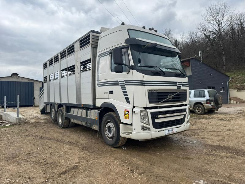 Volvo FH 540 - Kravas automašīna dzīvnieku pārvadāšanai: foto 4 Volvo FH 540 - Kravas automašīna dzīvnieku pārvadāšanai: foto 4