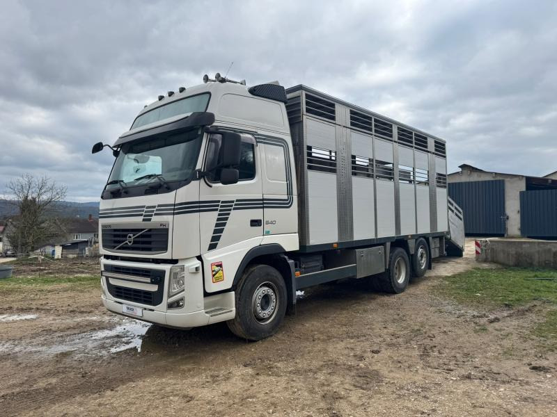 Volvo FH 540 - Kravas automašīna dzīvnieku pārvadāšanai: foto 3 Volvo FH 540 - Kravas automašīna dzīvnieku pārvadāšanai: foto 3
