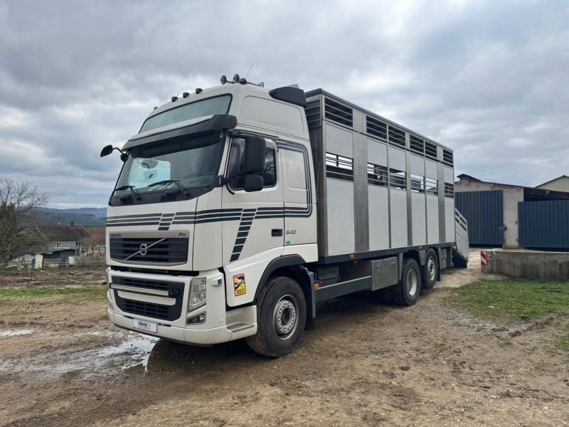Volvo FH 540 - Kravas automašīna dzīvnieku pārvadāšanai: foto 1 Volvo FH 540 - Kravas automašīna dzīvnieku pārvadāšanai: foto 1