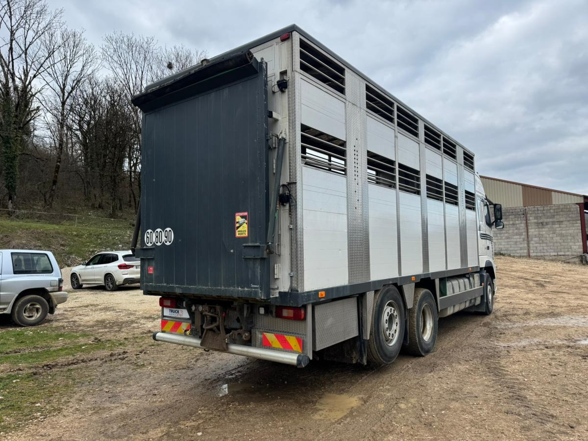 Volvo FH 540 - Kravas automašīna dzīvnieku pārvadāšanai: foto 5 Volvo FH 540 - Kravas automašīna dzīvnieku pārvadāšanai: foto 5