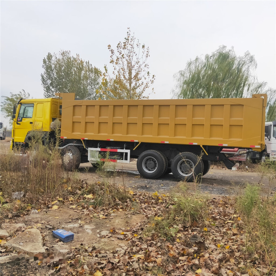 Kravas automašīna pašizgāzējs Howo: foto 10