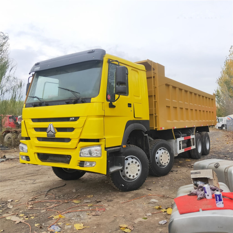 Kravas automašīna pašizgāzējs Howo: foto 11