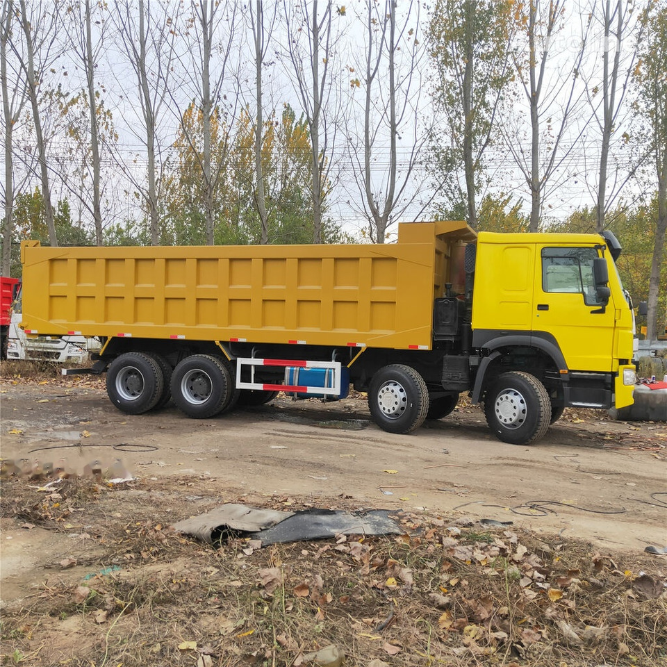 Kravas automašīna pašizgāzējs Howo: foto 6
