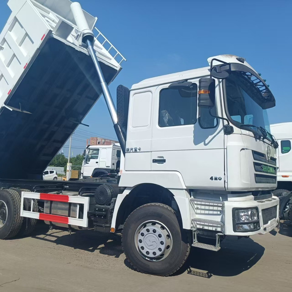 Kravas automašīna pašizgāzējs SHACMAN F3000: foto 7