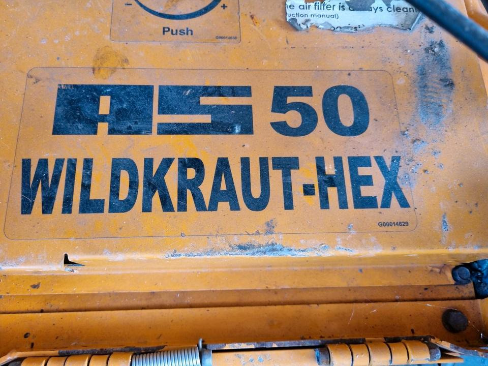 AS 50 Wildkraut-Hex Wildkrautbürste Unkrautentferner AS Mäher - Zāles pļāvējs: foto 5 AS 50 Wildkraut-Hex Wildkrautbürste Unkrautentferner AS Mäher - Zāles pļāvējs: foto 5