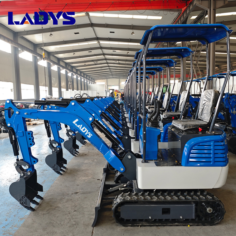 LADYS DY12Pro Mini Excavator Kubota Engine Euro 5/EPA/CE Mini Excavator Digger Miniexcavadora Mini Excavator For Sale - Kāpurķēžu ekskavators: foto 5 LADYS DY12Pro Mini Excavator Kubota Engine Euro 5/EPA/CE Mini Excavator Digger Miniexcavadora Mini Excavator For Sale - Kāpurķēžu ekskavators: foto 5