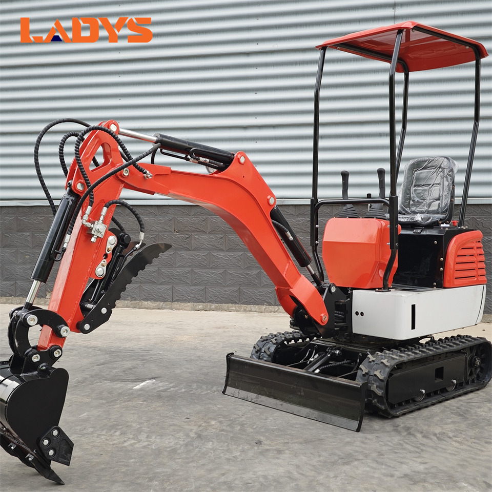 LADYS DY12Pro Mini Excavator Euro 5/Epa Engine Kubota Mini Excavator For Sale - Mini-ekskavators: foto 2 LADYS DY12Pro Mini Excavator Euro 5/Epa Engine Kubota Mini Excavator For Sale - Mini-ekskavators: foto 2