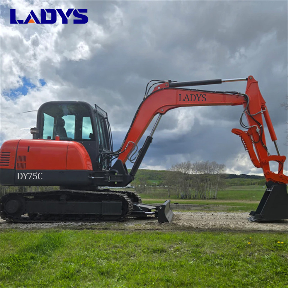LADYS DY75C Small Excavator Euro 5/Epa Yanmar Engine Small Excavator Crawler Excavator For Sale - Kāpurķēžu ekskavators: foto 1 LADYS DY75C Small Excavator Euro 5/Epa Yanmar Engine Small Excavator Crawler Excavator For Sale - Kāpurķēžu ekskavators: foto 1