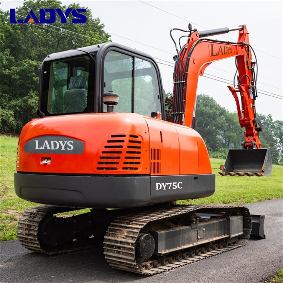 LADYS DY75C Small Excavator Euro 5/Epa Yanmar Engine Small Excavator Crawler Excavator For Sale - Kāpurķēžu ekskavators: foto 3 LADYS DY75C Small Excavator Euro 5/Epa Yanmar Engine Small Excavator Crawler Excavator For Sale - Kāpurķēžu ekskavators: foto 3