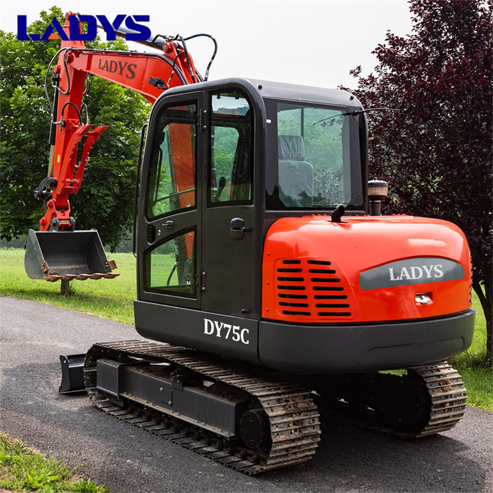 LADYS DY75C Small Excavator Euro 5/Epa Yanmar Engine Small Excavator Crawler Excavator For Sale - Kāpurķēžu ekskavators: foto 5 LADYS DY75C Small Excavator Euro 5/Epa Yanmar Engine Small Excavator Crawler Excavator For Sale - Kāpurķēžu ekskavators: foto 5