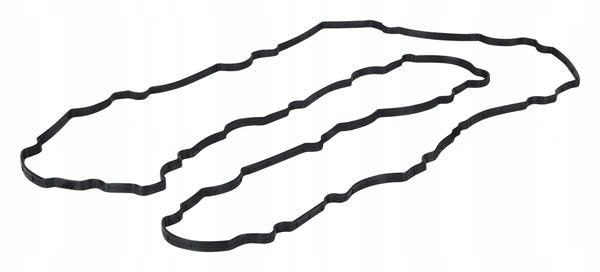 DAF DAF OE 2105834 USZCZELKA POKRYWY ZAWORÓW DAF OE 2105834 - Motora galvas blīve: foto 1 DAF DAF OE 2105834 USZCZELKA POKRYWY ZAWORÓW DAF OE 2105834 - Motora galvas blīve: foto 1