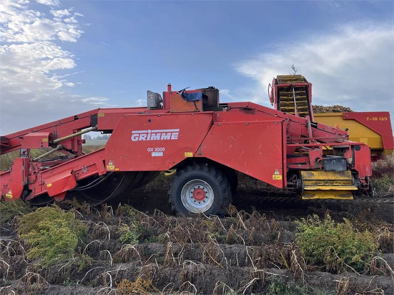 Grimme GV 3000 - Kartupeļu kombains: foto 3 Grimme GV 3000 - Kartupeļu kombains: foto 3